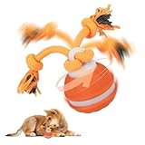 TZQFROCE Interaktives Hundespielzeug Hunde Ball Spielzeug Automatisch Rollender Ball für Hunde interaktiver Hundespielball für Aktivitäten und Unterhaltung