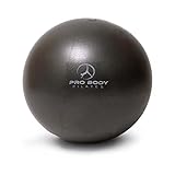 ProBody Pilates Ball, Kleiner Gymnastikball, 9-Zoll-Barre-Ball, Trainingsball für Stabilität, Barre, Fitness, Bauch, Rumpf, Physio- und Physiotherapieball (schwarz)