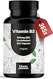 Vitamin B3 Niacinamide Hochdosiert - 365 Kapseln mit 500 mg pro Kapsel, vegan & Produziert in Deutschland - B3 Vitamin Niacinamid - Verpackung kann variieren - Laborgeprüft