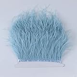 Straußenbesatz, 8–10 cm, 10–15 cm, rosa Federbandfransen zum Nähen von Federn, Basteln, Kostümen, Partydekoration, 027, 8–10 cm, 1 m