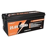 24V 100Ah LiFePO4 Batterie Lithium Eisenphosphat, 2560Wh Deep Cycle Batterie mit 100A BMS, über 3000 Zyklen, für Wohnmobil, Solar, Camping