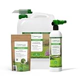 BodenLiebe Rasenblitz 10 l flüssiger Rasendünger inkl. Sprühflasche und 500g NACHSAAT - Für 500 m² Garten - Schnelles Grün statt Gelb - Familienfreundlich & tierverträglich - Made in Germany