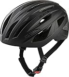 ALPINA PATH - Sicherer, Leichter & Optimal Belüfteter Fahrradhelm Mit Fliegennetz Für Erwachsene, black matt, 55-59 cm
