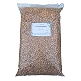 Matimels Futterwelt Sonnenblumenkerne geschält für Vögel, Vogelfutter Top-Futterqualität (2x5 Kg)