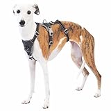 Huntboo Sicherheitsgeschirr Hund Ausbruchsicher, Panikgeschirr für Hunde, Anti Zug Hundegeschirr, Reflektierend, Verstellbare, Leichte Weste für kleine, mittelgroße und große Haustiere (Schwarz,L)