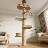 Katzenbaum-Set, 6-stöckiges 280-300 cm Höhenverstellbarer Kratzbaum Deckenhoch aus Holz, mit Sitzstange, Korbbett, Kratzbaum, Hängematte & Transparente Raumkapsel, Hohe Klettermöbel für Innenbereich