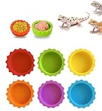 Meow&Woof Crested Gecko Futter- und Wassernapf für Reptilien, 6 Stück, bunte Wassernapf für Bartagamen, Terrarium, Zubehör für Schildkröten, Krabben und kleine Haustiere