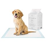 EVERANIMALS 50 Welpenunterlagen 60x60 cm - geruchsfreie Lockstoffen für spielend leichte Welpenerziehung, extra saugstarke Welpen Unterlage zum Schutz Deiner Wohnung