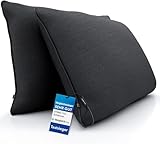 DYNMC you Sofakissen mit Füllung und Bezug - 2er Set 40x60cm mit Viel Füllung - VERGLEICHSSIEGER SEHR GUT - Rückenkissen mit Oeko TEX Baumwoll-Bezug - Bequeme Dekokissen - Couchkissen Schwarz