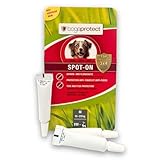 bogaprotect SPOT ON Hund - Floh und Zeckenschutz für Hunde - 10-20 kg - Zeckenmittel für Hunde - Natürlicher Zeckenschutz für Hunde - UBO0352 - Vorrat für 12 Wochen