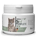 ReaVET 4in1 Complete Cat 60g – Vitamine Katze, Rundumversorgung für Katzen, Vitamine, Mineralien, für Gelenke, Nervensystem, Immunsystem, Magen-Darm