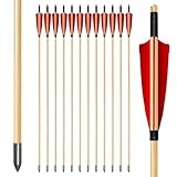 biubiusot Holzpfeile für Bogenschießen 32 Zoll Jagdpfeile 12er Naturfedern Pfeile Bogenpfeile mit Abschraub Spitze Langbogen und Traditionellen Pfeile Bogen Handarbeit (Rot)