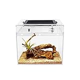 Reptile Growth Mini PC Terrarium, 8' x 8'x 8'Faunarium für,Schnecken,Insekten,Vogelspinnen,Springspinne,Leopard Gecko，Einsiedlerkrebs