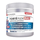 Forté Pharma - Forté Flex Max Gelenke – Flexibilität, Mobilität – Kollagen Typ I und II – Kurkuma, MSM, Glucosamin – 1 Löffel/Tag, 20 Tage