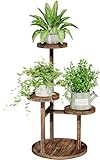 Bamworld Blumenständer Holz Pflanzenregal Indoor Blumentreppe Outdoor 3 Etagen Blumenständer für Wohnzimmer Balk on Garten Terrasse