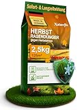 Natureflix Herbstdünger Rasen | Herbstrasendünger staubarm | mit Winterschutz | Körnung 2–5 mm | Rasendünger Herbst ist Kind- & tierfreundlich (Herbstdünger, 2,5kg für 125m²)