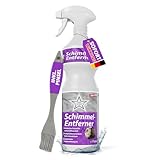 Ricostar Schimmelentferner Bad mit Pinsel 750 ml – Anti Schimmelspray für Bad, Fugen, Wand, Fenster, Dusche – Schimmel & Stockflecken effektiv entfernen – Profi-Schimmelreiniger mit Aktivchlor