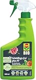 COMPO Schädlings-frei plus AF - Spray gegen Blattläuse, Schildläuse, Wollläuse, Buchsbaumzünsler & Co. - für Zierpflanzen und Kernobst - 500 ml - anwendungsfertiges Insektizid