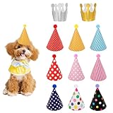 11 Stück Partyhüte Geburtstag Set,Partyhüte zum Geburtstag,Bunte Party Kegel Hüte,9 Partyhut mit Pompoms & 2 Geburtstag Krone,Geburtstagshut für Kinder Erwachsene Geburtstag Festival Deko Foto Prop