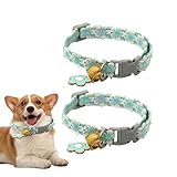 Kätzchenhalsband, Katzenhalsband, 2 x Welpen-Kätzchen, mit Schnalle und Glocke, bequemes Zubehör für Haustiere für kleine Rassen