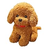 Xiyocadt Teddyhund Plüschtier,Realistischer Teddyhund Plüschhund Mit Halsband,Hund Kuscheltier Weiche Plüsch Kuscheltier Hund Stofftier Kawaii Plush Kuscheltier für Kinder Geschenk (22cm,Dunkelbraun)