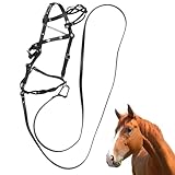 Halfter Halfter für – PU-Lederhalfter, Bequeme ergonomische Passform, verstellbare stabile Ausrüstung, Metallschnallen-Design | Training Wettbewerb tägliches Reiten Manipulatio