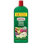 Substral Kübel- & Balkonpflanzen Nahrung, 1,3L - Flüssigdünger mit extra Eisen, für alle Blühpflanzen, u.a. Zitruspflanzen, Geranien, Surfinien, Petunien