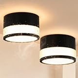 ZIZZLER IP44 Wasserdichte Deckenleuchte Aufputz Schwarz für Bad Küchen, 2er LED Aufbauspots Warmweiß 3000K für Wohnzimmer Flur, 12W 1100LM Aufbaustrahler Deckenspot 230V Feuchtraum, Rund Ø100mm*63mm