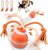 Interaktives Hundespielzeug, Interaktiver Spielball für Hunde, Ball Hund, Hundespielzeug Ball Mit 3 Kauschnüren, Hundeball Elektrisch Bal-l, Gibt VogelgeräUsche ab Ideal für Kleine Hunde & Welpen
