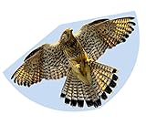 Günther Flugspiele 1230 - Einleiner-Drachen Falke, ca. 92 x 62 cm, Kinderdrachen aus robuster PE-Folie, für Kinder ab 4 Jahren, inkl. Griff und Drachenschnur