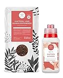 SPARSET Kakteenerde 5 L + 250 ML Kakteendünger Flüssig - Mit 100 Tage Dünger und Sand angereichert - Kaktuserde - Kaktus Erde für alle Kakteen - Ideale Kakteen Erde zum Pflanzen und Umtopfen