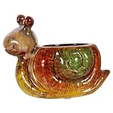 CAXUSD 2 STK Schnecke blumentopf Dekoration Heimdekorationen Mini-Pflanzgefäß blumengießkanne für zimmerpflanzen lustige blumentöpfe Balkon blumentopf Sukkulenten-Übertopf Harz Brown