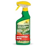 Neudorff Armisan AF PilzFrei Obst- & Gemüse-MehltauFrei – Anwendungsfertiges Spray bekämpft effektiv Echten Mehltau an Obst, Gemüse und Rosen, 500 ml