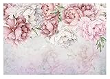 Fototapete Blumen Pfingstrose Romantisch Rosen 368x254 cm - inkl. Kleister - für Wohnzimmer Schlafzimmer Flur Vlies Tapete Wandtapete Vliestapete Motivtapeten Montagefertig