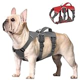 Beirui Ausbruchsicheres Hundegeschirr für kleine, mittelgroße Hunde, reflektierendes Hundegeschirr, kein Ziehen, mit gepolstertem Griff, Training (grau, Brustumfang 25.4–40.6 cm)