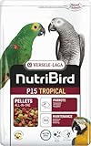 VERSELE-LAGA - NutriBird P15 Tropical - Extrudierte Pellets - Erhaltungsfutter für Papageien - Mehrfarbig - 3kg