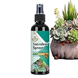 Kakteen Dünger | Sprossenstärker Spray Für Kakteen Und Sukkulenten | 100ml Sprossen Booster Für Wachstum Topfkultur Vermehrung Von Zimmerpflanzen Für Innen- Und Außenbereich