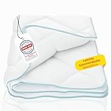 Rosenkern® Sommerdecke 135x200 - [SEHR weiches Mikrofaser & Atmungsaktiv] - Sommerbettdecke 135 x 200 leicht - [Pflegeleicht bis 95° Waschbar] - dünne Steppdecke 135x200 Sommer