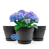 BigDean 3 Stück Blumentopf mit Untersetzer rund ø30 cm in Anthrazit – Übertopf innen + außen geeignet – aus bruchsicherem Kunststoff & Made in Europe