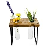 Stecklingsstationen – Tischterrarium mit Ständer aus Holz | Gartendekoration, dekorativer Behälter für Blumenanbau und Pothos