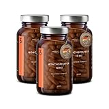 3er Set - Mönchspfeffer hochdosiert - 10mg Agnus Castus Extrakt je Kapsel - Vitex Agnus Castus - 540 Mönchspfeffer Kapseln - Vegan