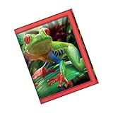 3D Live Life Funky Frogs Scheckbuchhülle, 10 cm, Mehrfarbig (Multicolore)