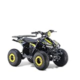 KXD ATV 003 7' 110cc Knopfdruckstarter 4T Quad Mini ATV Miniquad Benzinmotor Kinderquad Kinder Enduro Pocketquad gelb