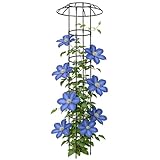 Garten Schirmförmiges Spalier - Vertikale Und Dekorative Rankhilfe Für Kletterpflanzen,Stützkäfig Regenschirm Rankgitter,Für Weinreben Rosen Drachenfrucht Gurken Hortensien Efeutute