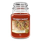 Yankee Candle Duftkerze im Glas (groß), Autumn Wreath, Kerze mit langer Brenndauer bis zu 150 Stunden, optimale Geschenke für Frauen