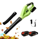 Laubbläser, kabellos, 21 V, mit Akku und Ladegerät, 2 Geschwindigkeitsstufen, 3000 W, Akku-Laubbläser für die Reinigung von Garten und Schneeräumung, elektrisches Gebläse (2 Batterien)