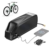 BAFANG 48V 20Ah E-Bike-Akku mit Ladegerät und USB-Anschluss, G80 Lithium-Batterie für Elektrofahrrad, Unterrohr Shark Battery für 250W 500W 750W 1000W 1500W E-Bike Umrüstkit