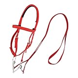 Generisch Horse Headstall with Reins - Nylon Padded Browband | Multiple Colors, with Natural Hand Turquoise Futurity Knot Natural Hair