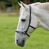 Heinick-Reitsport Französicher Profi Leder KAPPZAUM ~ Cavecon Cavesson ~ Schwarz WB VB Kappzaumgröße Vollblut/Cob