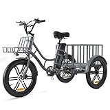 ELEKGO 20 Zoll Elektro-Dreirad, Fettreifen + hinterer Gepäckkorb und Scheinwerfer,Lastenfahrrad, 48V 18AH abnehmbare Batterie Tragfähigkeit 200kg, Reichweite 40-60km